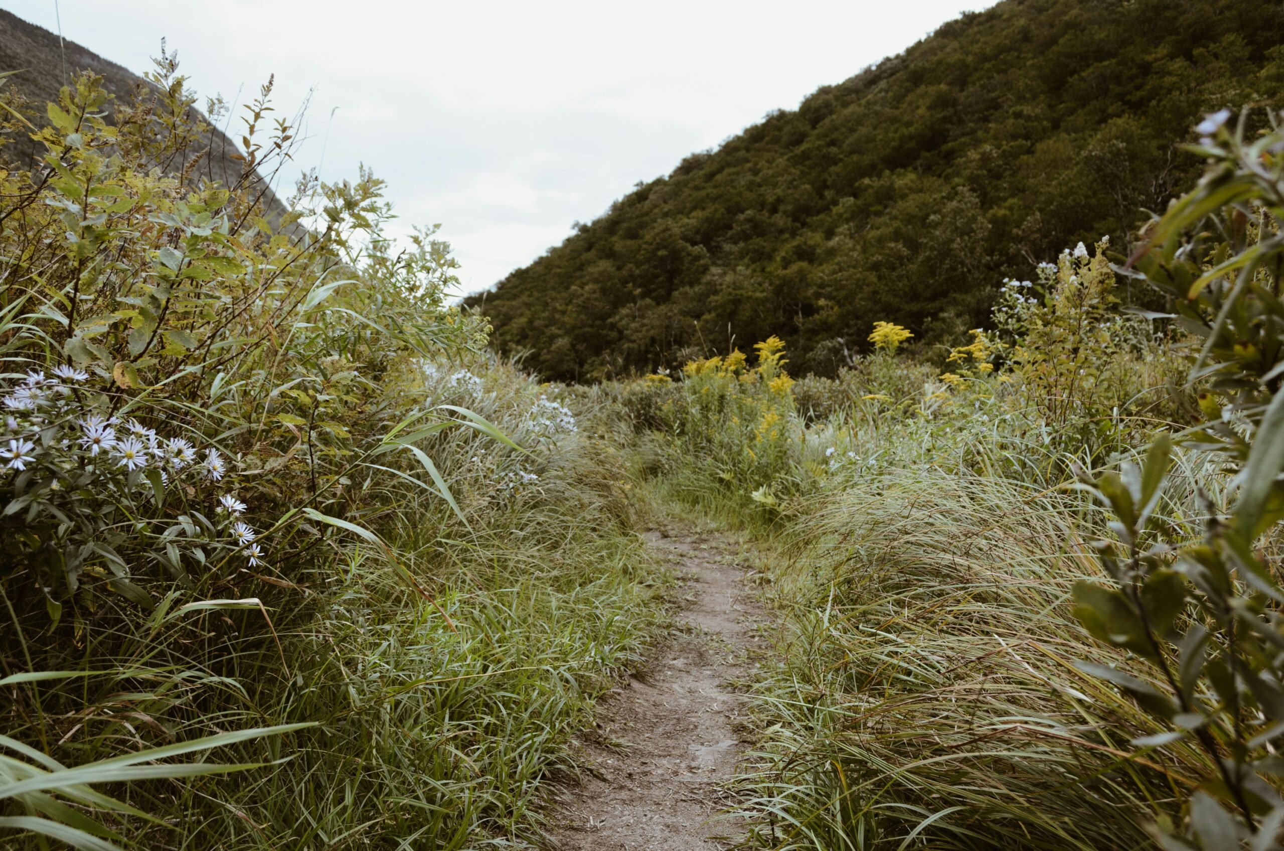 How long is the hike to Eaton Canyon Falls?