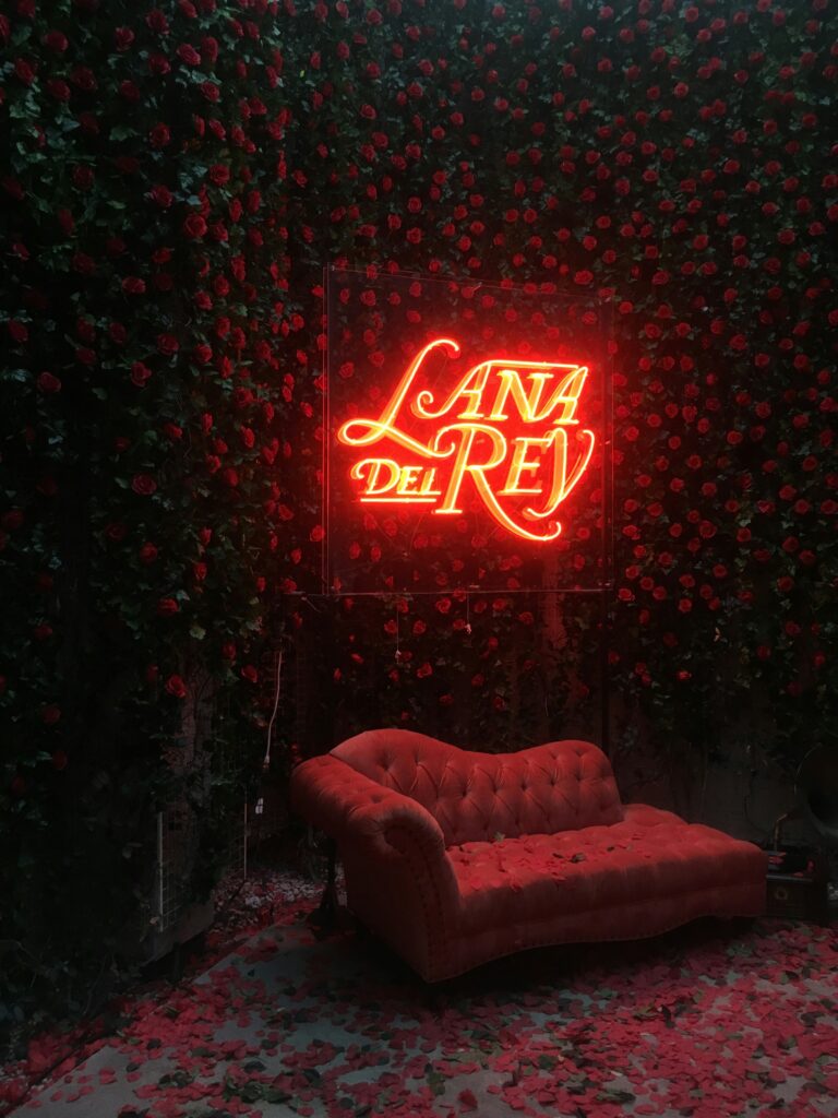 Lana Del Rey's New Love All About Her Husband Jeremy Dufrene